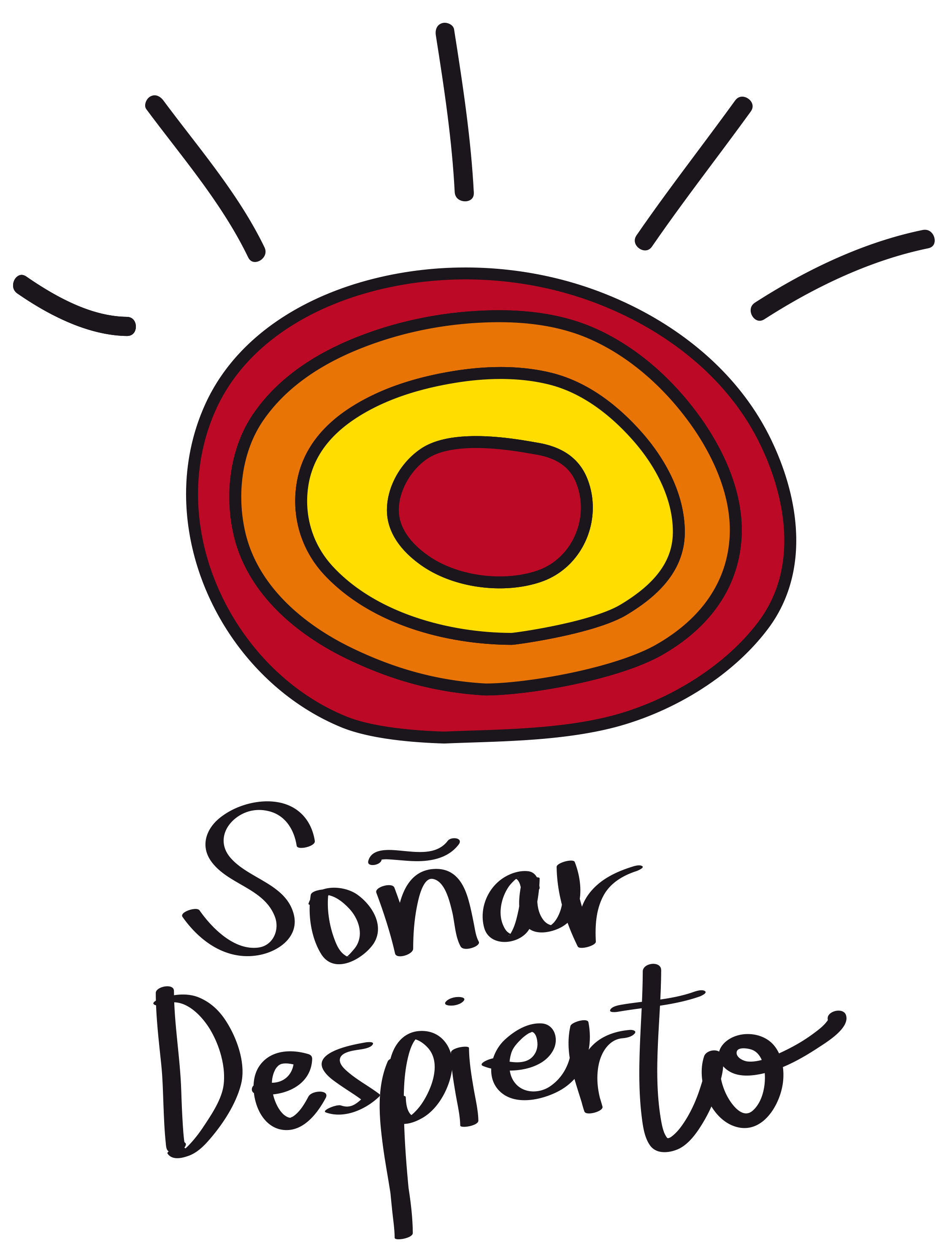 Fundación Soñar Despierto